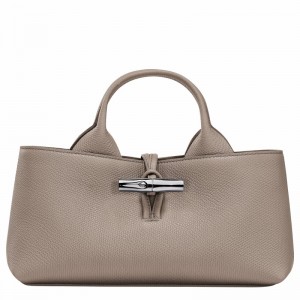 Bolsa de Mão Longchamp Le Roseau S Feminino Cinzentas Brasil | 10280HFP266