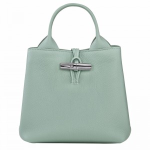 Bolsa de Mão Longchamp Le Roseau S Feminino Celadon Brasil | 10273HFP282