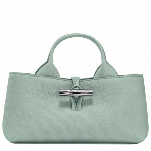 Bolsa de Mão Longchamp Le Roseau S Feminino Celadon Brasil | 10280HFP282