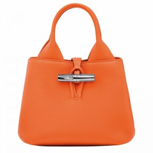 Bolsa de Mão Longchamp Le Roseau XS Feminino Laranja Brasil | 10278HFP017