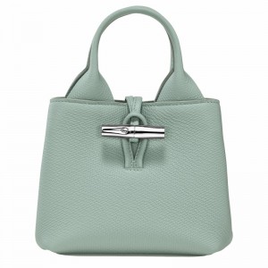 Bolsa de Mão Longchamp Le Roseau XS Feminino Celadon Brasil | 10278HFP282