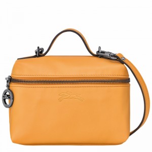 Bolsas Crossbody Longchamp Le Pliage Xtra XS Feminino Abricó Brasil | 10187987222