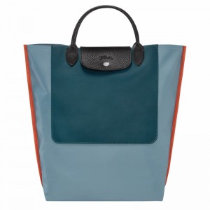 Bolsas Tote Longchamp Cabas Longchamp M Feminino Azuis Brasil | 10264093427