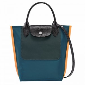 Bolsas Tote Longchamp Cabas Longchamp XS Masculino Azul Claro Brasil | 10263093A56-