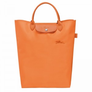 Bolsas Tote Longchamp Le Pliage Green M Masculino Laranja Brasil | 10168919P54-