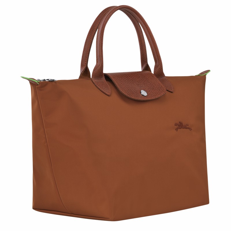 Bolsa de Mão Longchamp Le Pliage Green M Feminino Marrom Brasil | L1623919504