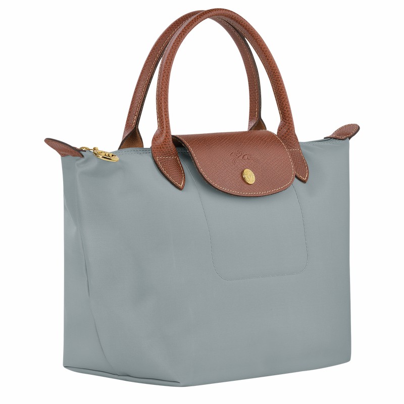 Bolsa de Mão Longchamp Le Pliage Original S Feminino Cinzentas Brasil | L1621089P80