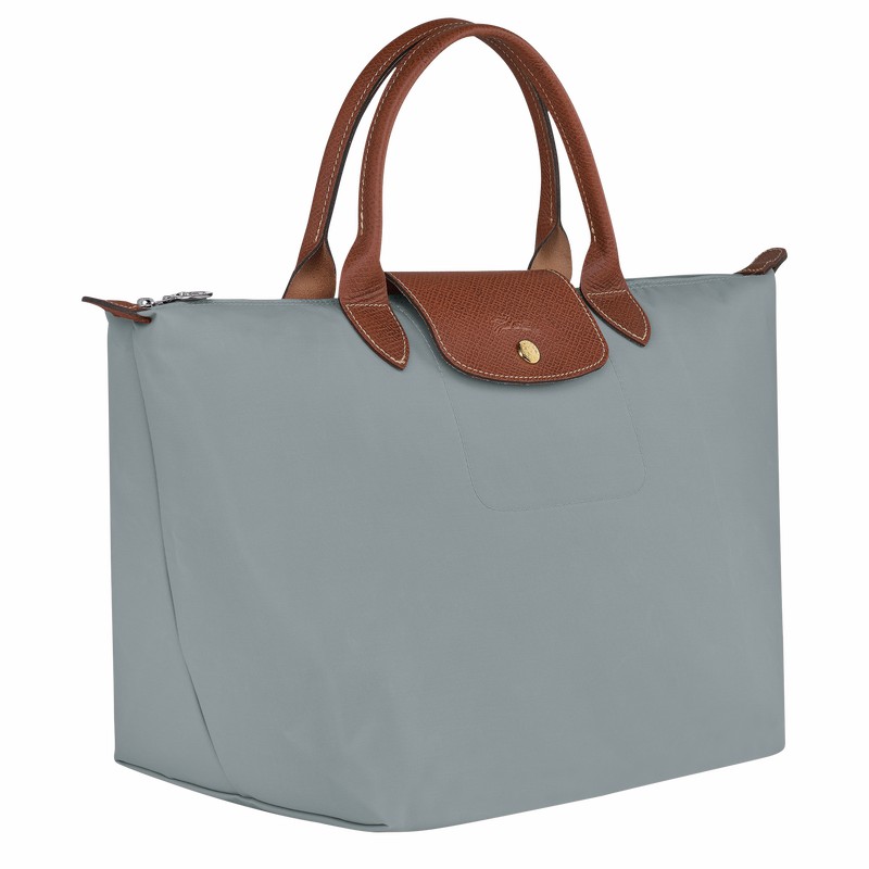 Bolsa de Mão Longchamp Le Pliage Original M Feminino Cinzentas Brasil | L1623089P80