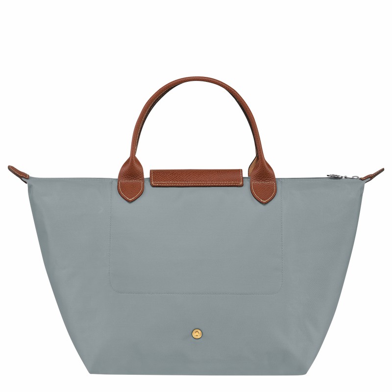 Bolsa de Mão Longchamp Le Pliage Original M Feminino Cinzentas Brasil | L1623089P80