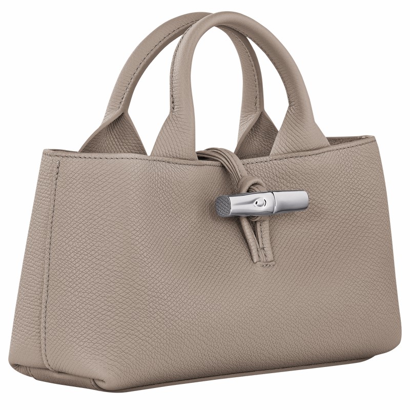 Bolsa de Mão Longchamp Le Roseau S Feminino Cinzentas Brasil | 10280HFP266