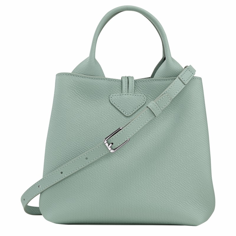 Bolsa de Mão Longchamp Le Roseau S Feminino Celadon Brasil | 10273HFP282