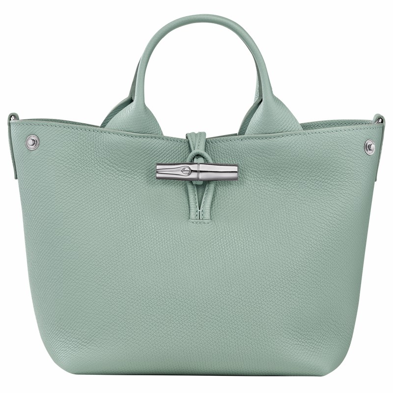 Bolsa de Mão Longchamp Le Roseau S Feminino Celadon Brasil | 10273HFP282