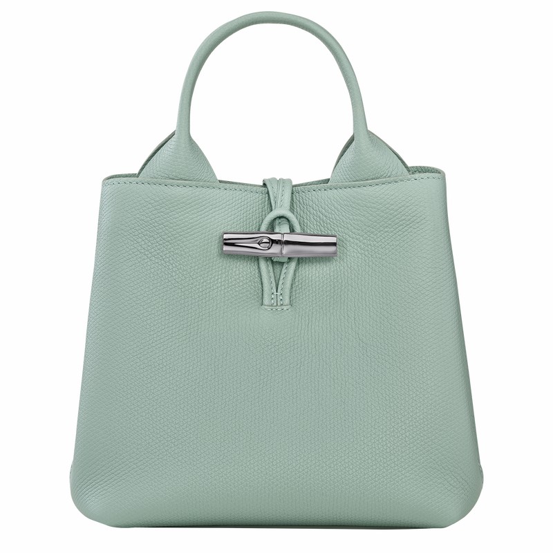 Bolsa de Mão Longchamp Le Roseau S Feminino Celadon Brasil | 10273HFP282