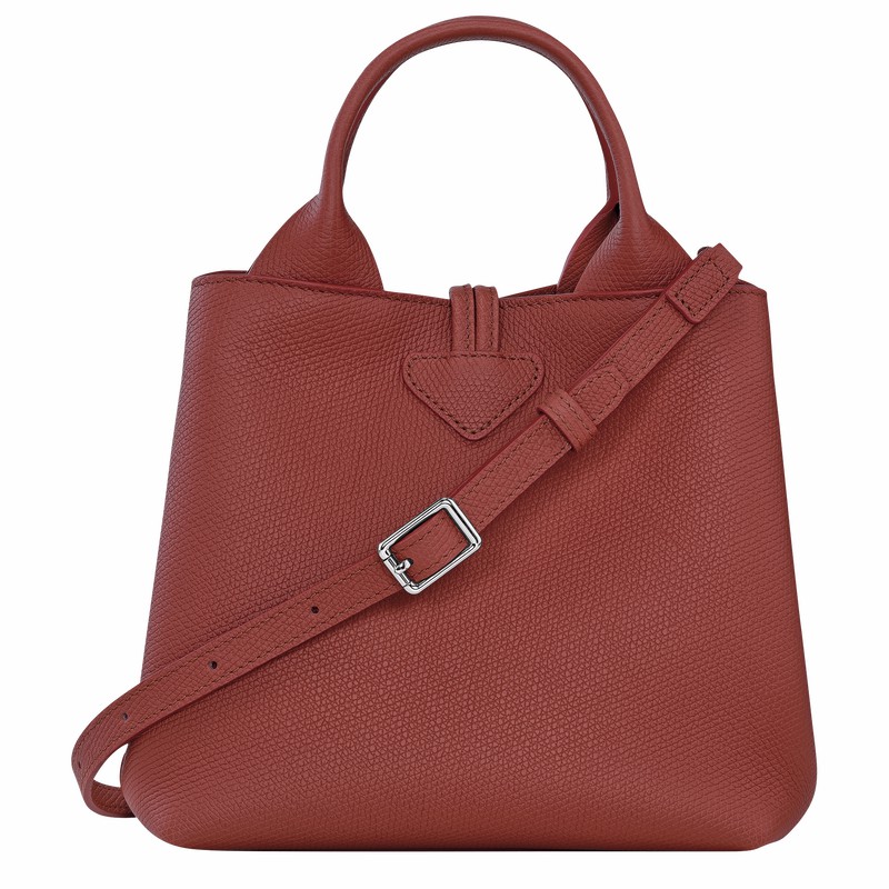 Bolsa de Mão Longchamp Le Roseau S Feminino Marrom Brasil | 10273HFP404