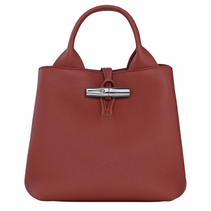 Bolsa de Mão Longchamp Le Roseau S Feminino Marrom Brasil | 10273HFP404