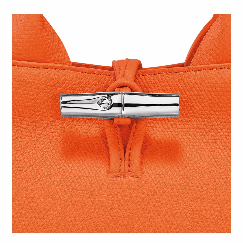 Bolsa de Mão Longchamp Le Roseau S Feminino Laranja Brasil | 10280HFP017