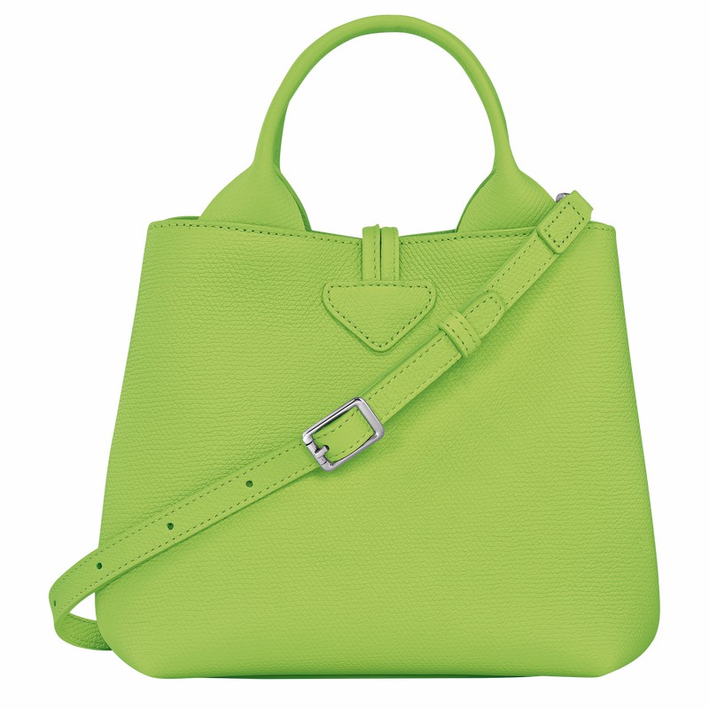 Bolsa de Mão Longchamp Le Roseau S Feminino Verdes Brasil | 10273HFP355