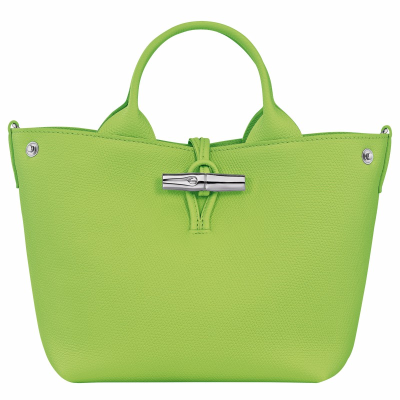 Bolsa de Mão Longchamp Le Roseau S Feminino Verdes Brasil | 10273HFP355