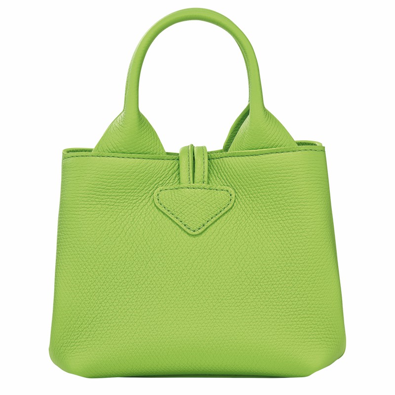 Bolsa de Mão Longchamp Le Roseau XS Feminino Verdes Brasil | 10278HFP355