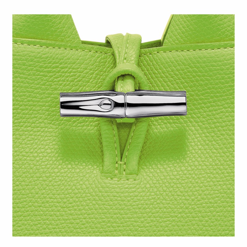 Bolsa de Mão Longchamp Le Roseau XS Feminino Verdes Brasil | 10278HFP355