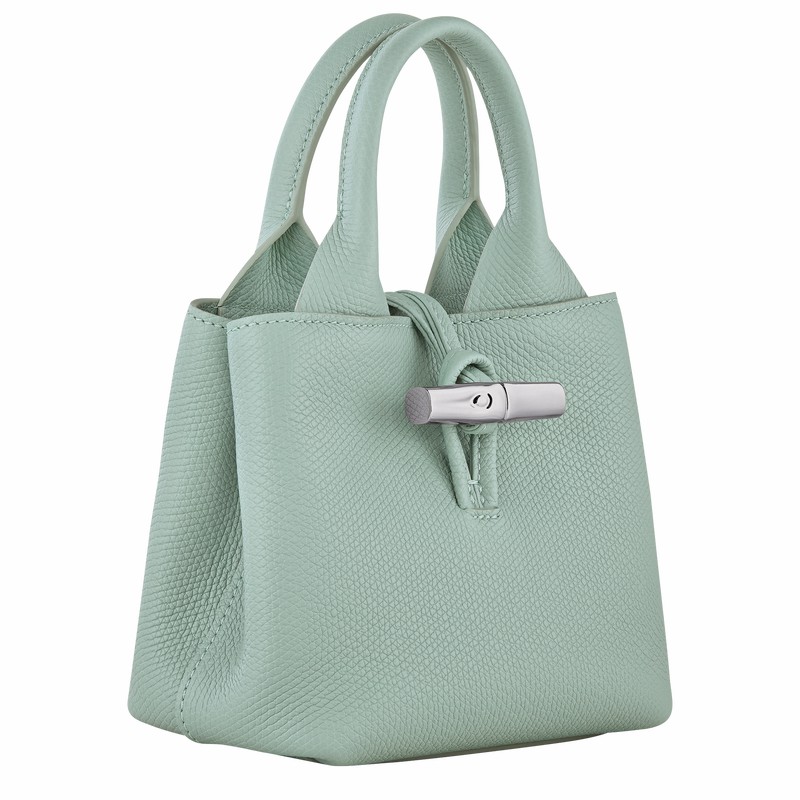 Bolsa de Mão Longchamp Le Roseau XS Feminino Celadon Brasil | 10278HFP282