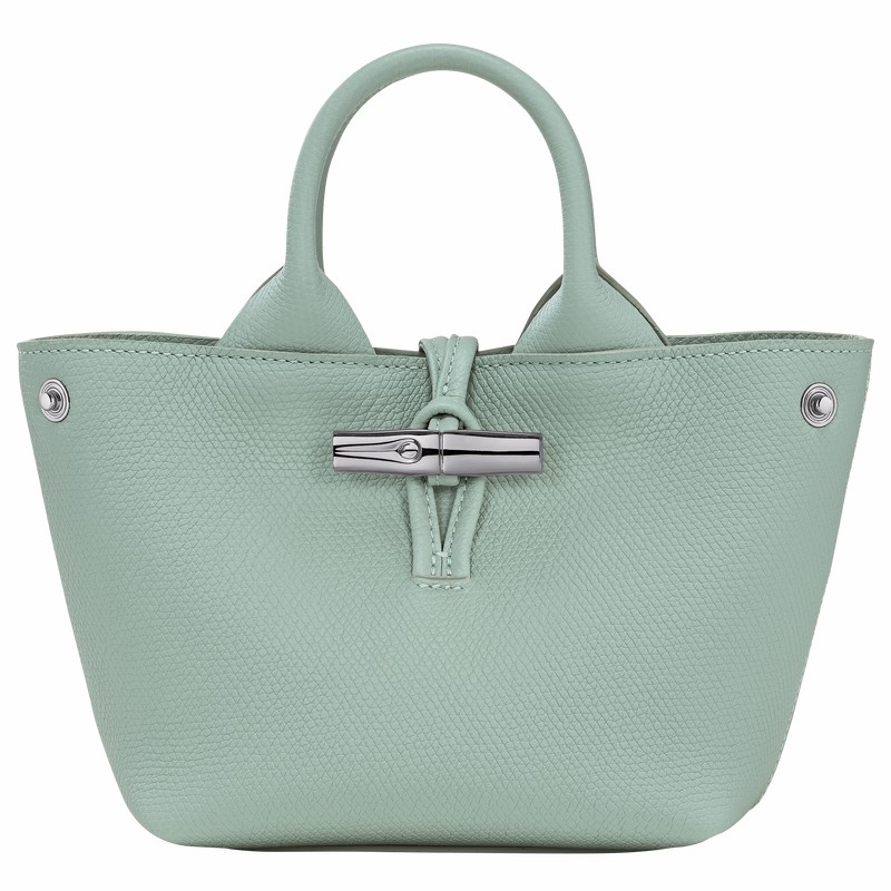 Bolsa de Mão Longchamp Le Roseau XS Feminino Celadon Brasil | 10278HFP282