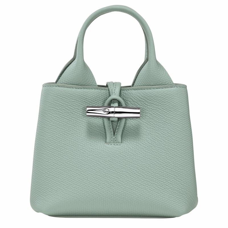 Bolsa de Mão Longchamp Le Roseau XS Feminino Celadon Brasil | 10278HFP282