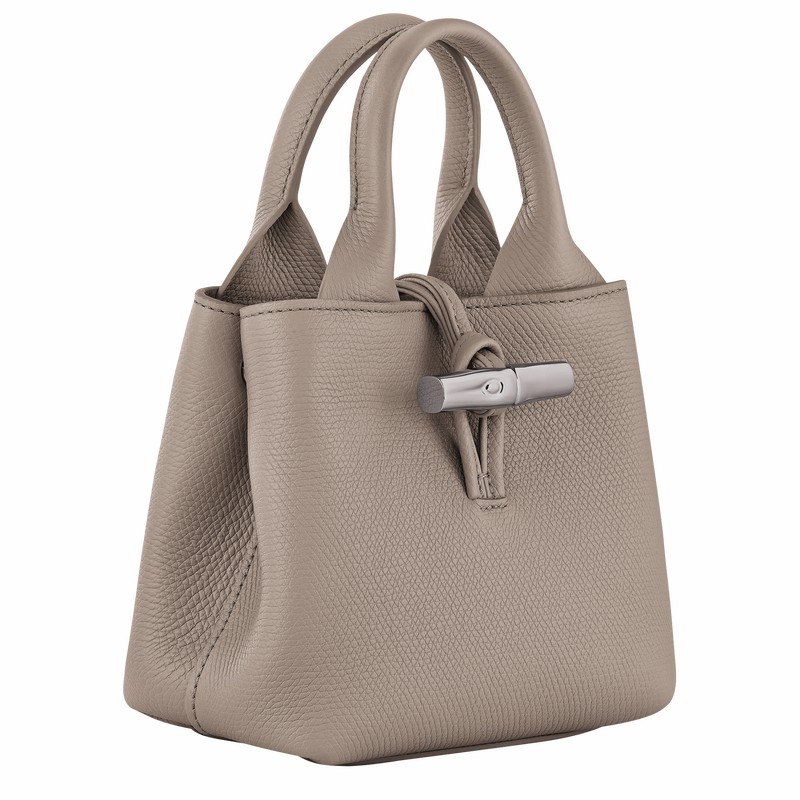 Bolsa de Mão Longchamp Le Roseau XS Feminino Cinzentas Brasil | 10278HFP266