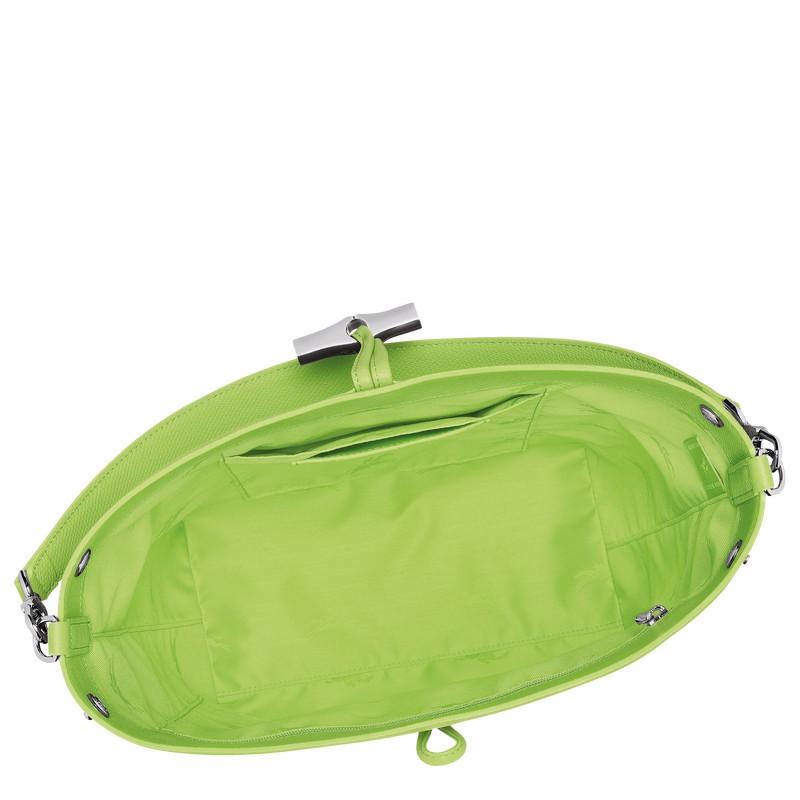 Bolsas De Ombro Longchamp Le Roseau M Feminino Verdes Brasil | 10281HFP355