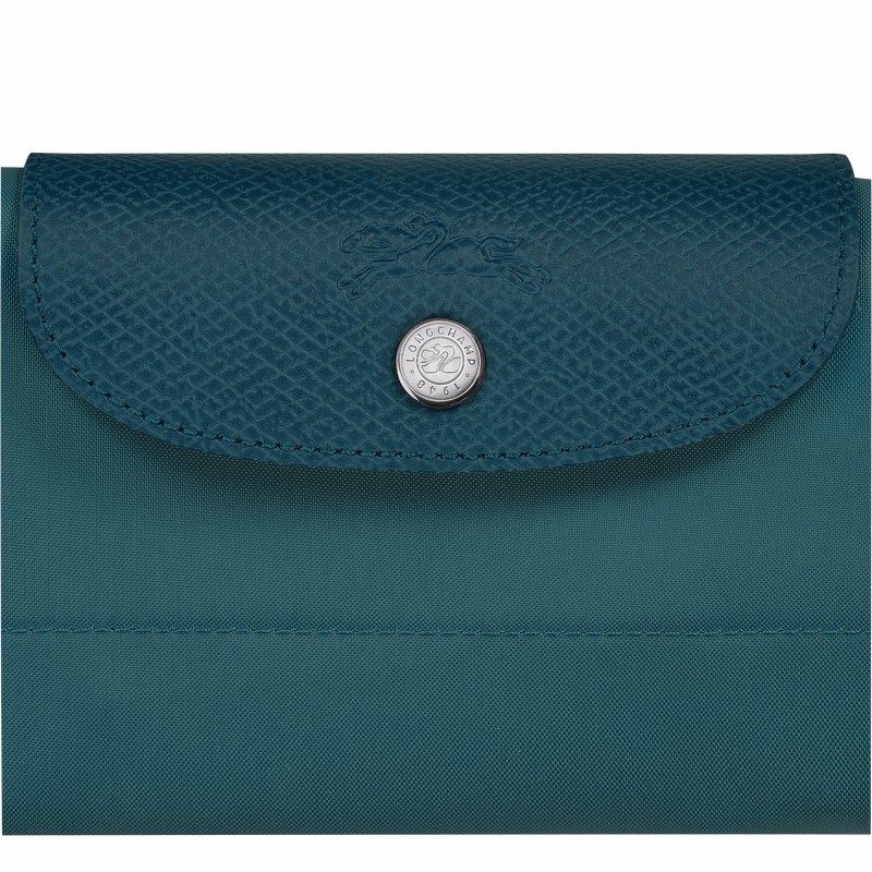 Bolsas De Viagem Longchamp Le Pliage Green S Masculino Azul Claro Brasil | L1624919P89-