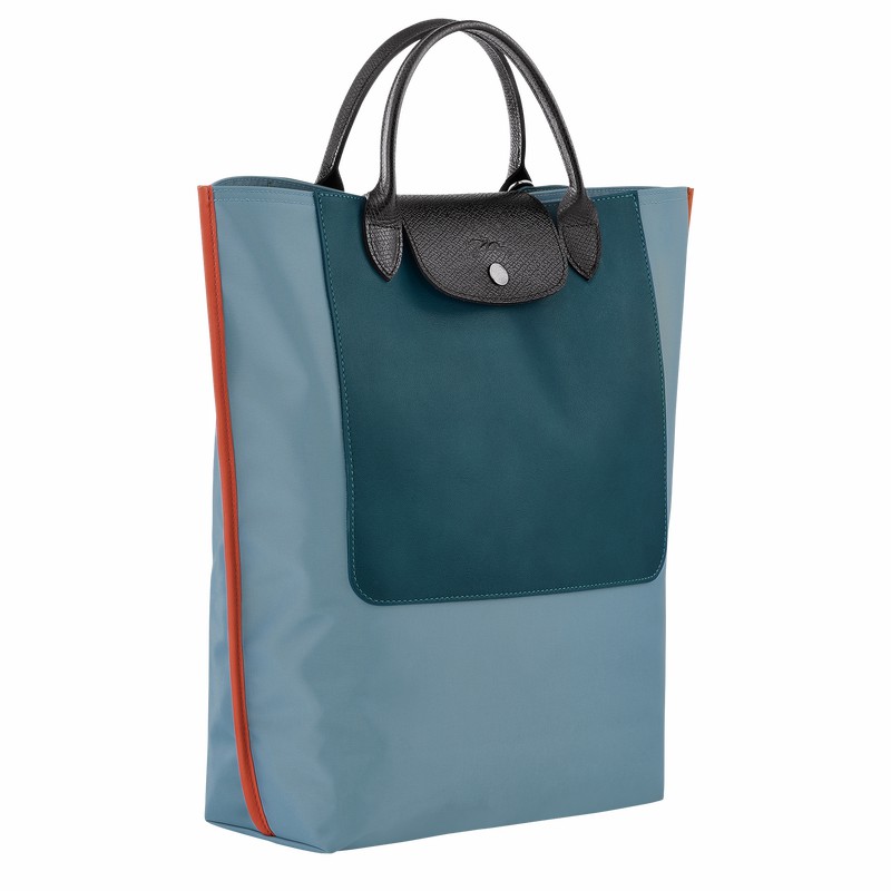 Bolsas Tote Longchamp Cabas Longchamp M Feminino Azuis Brasil | 10264093427