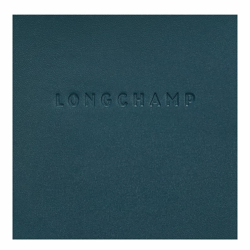 Capa Longchamp Le FOULONNÉ Feminino Azuis Brasil | 34200HFI806