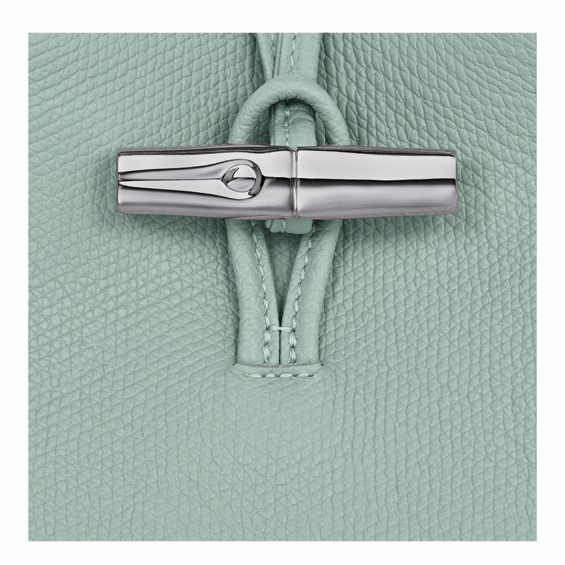 Capa Longchamp Le Roseau Feminino Celadon Brasil | 34180HFP282