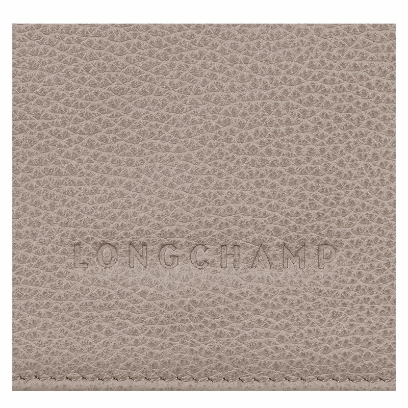 Carteiras Longchamp Le FOULONNÉ Feminino Cinzentas Brasil | 30021021P55