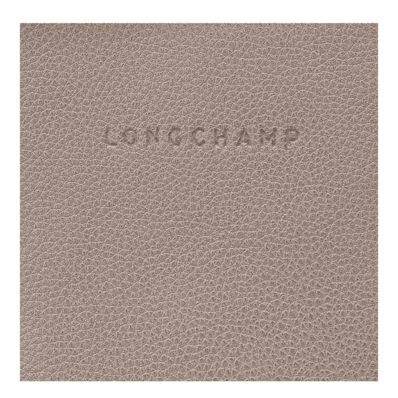 Mochilas Longchamp Le FOULONNÉ Feminino Cinzentas Brasil | 10195021P55