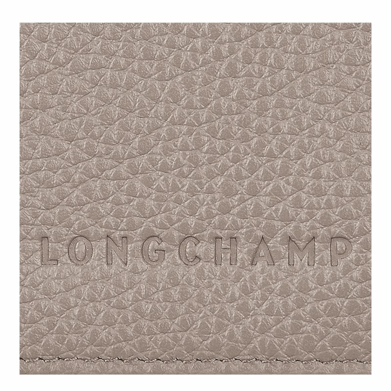 Portador De Passaporte Longchamp Le FOULONNÉ Feminino Cinzentas Brasil | L3416021P55