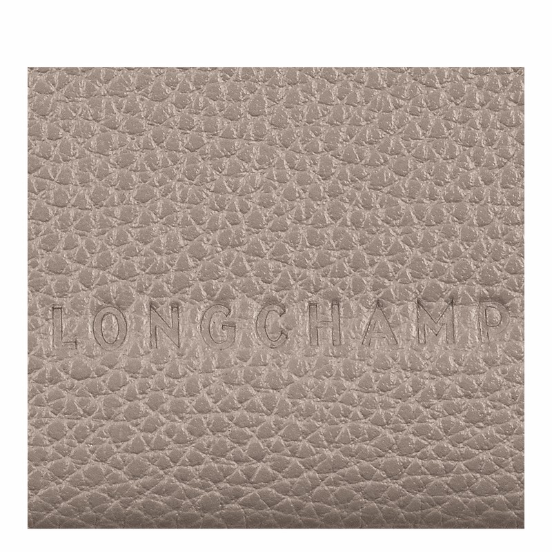 Porta Cartão Longchamp Le FOULONNÉ Feminino Cinzentas Brasil | L3218021P55